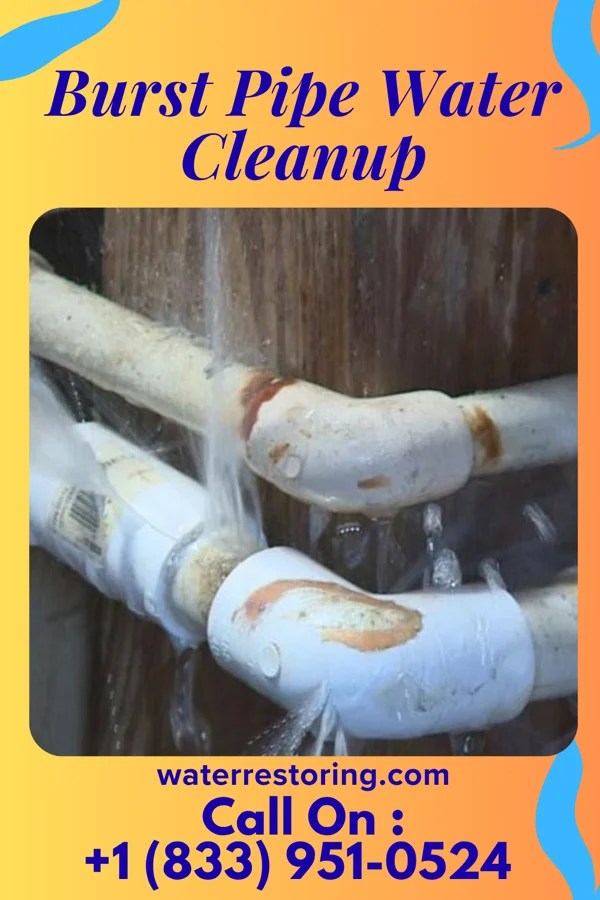 Burst Pipe Water Cleanup in Paxtonia, PA