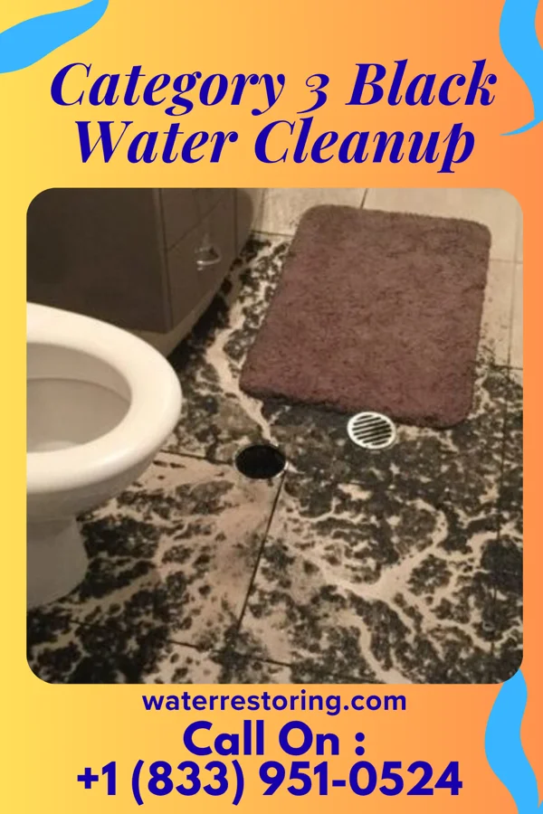 Category 3 Black Water Cleanup in Paxtonia, PA