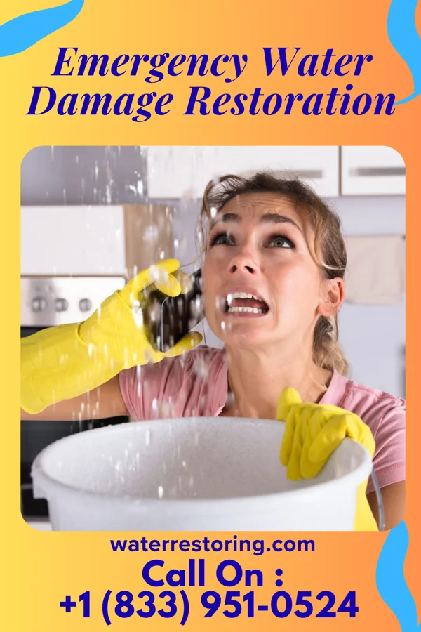 Emergency Water Damage Restoration in Paxtonia, PA