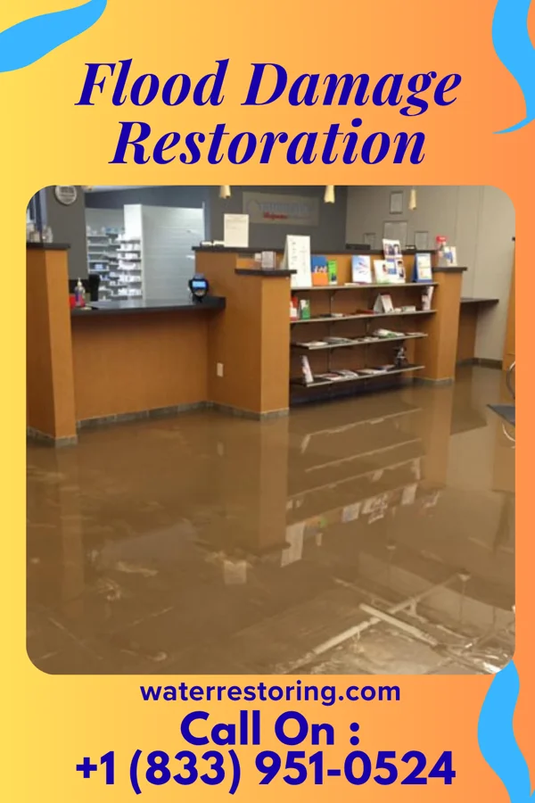 Flood Damage Restoration in Paxtonia, PA