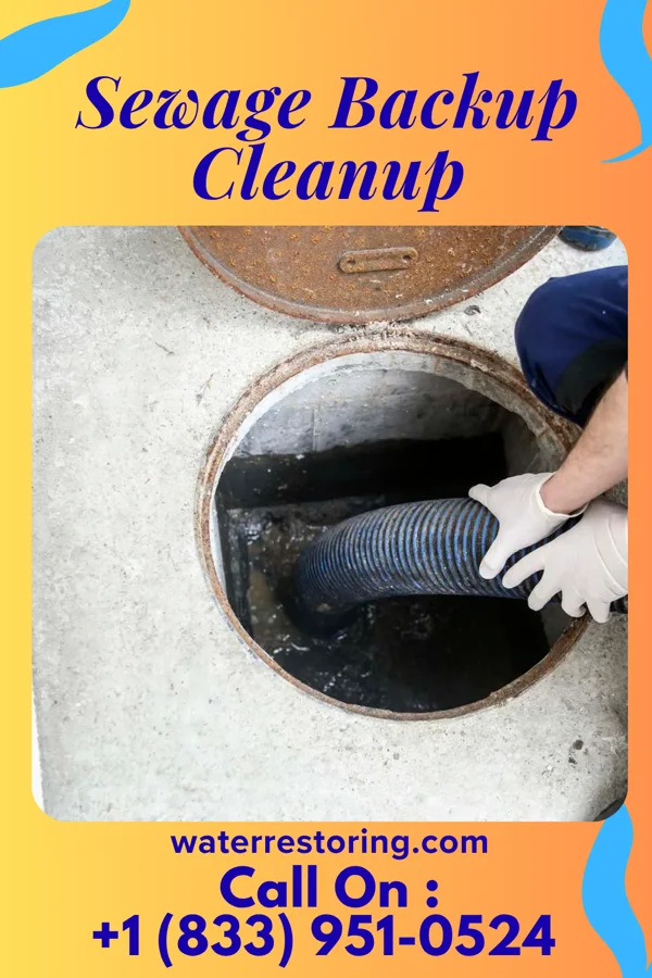 Sewage Backup Cleanup in Paxtonia, PA