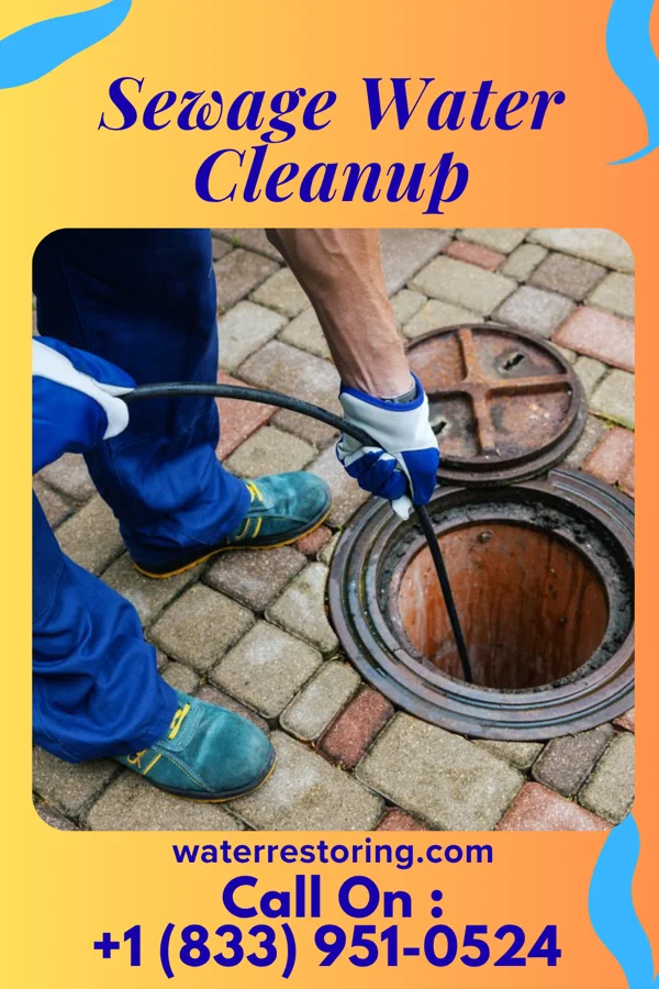 Sewage Water Cleanup in Paxtonia, PA