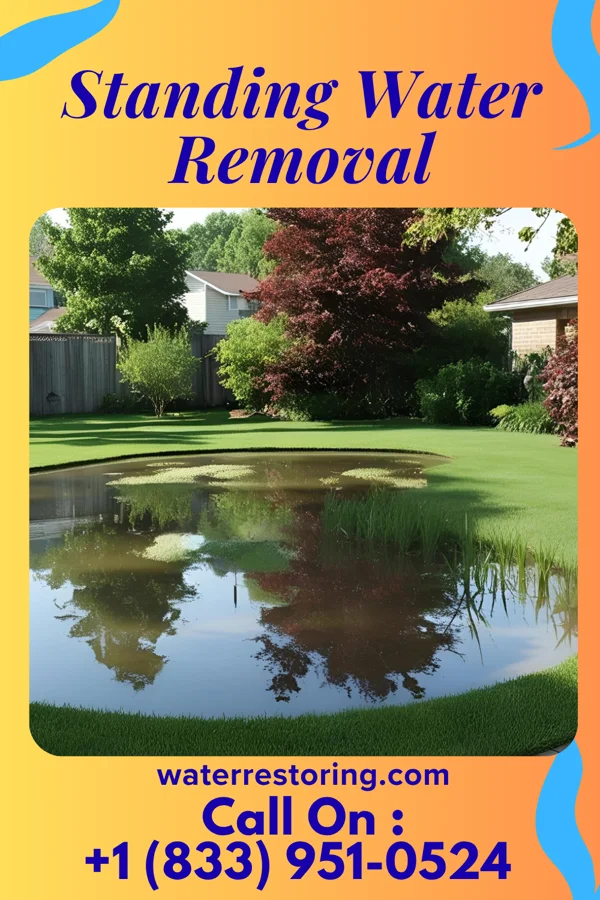 Standing Water Removal in Paxtonia, PA